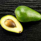 Avocado - Fuerte - Hybrid Fruit Plant