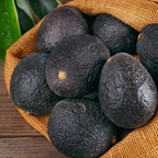 Avocado - Lamb Hass - Fruit Plant