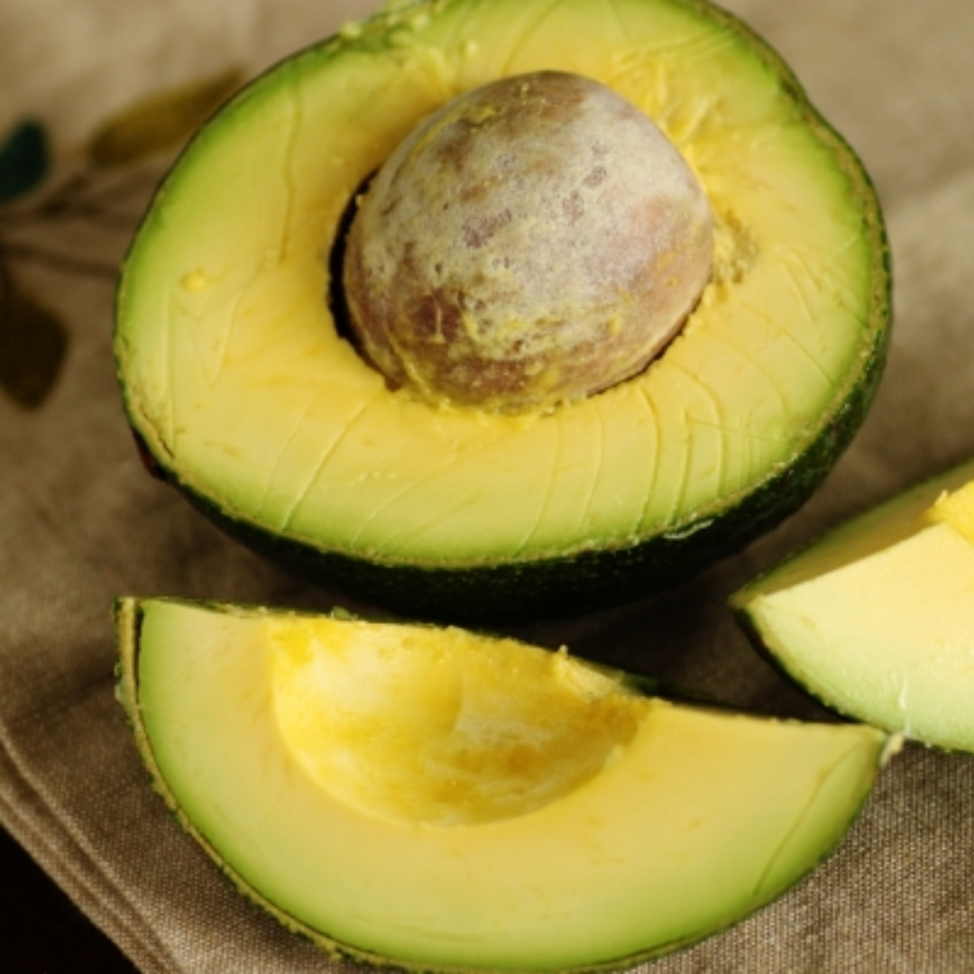 Avocado - Reed - Hybrid Fruit Plant