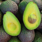 Avocado - Sharwill - Hybrid Fruit Plant