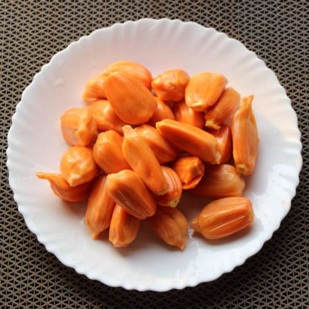 Jackfruit - Daeng Suriya - Hybrid Fruit Plant