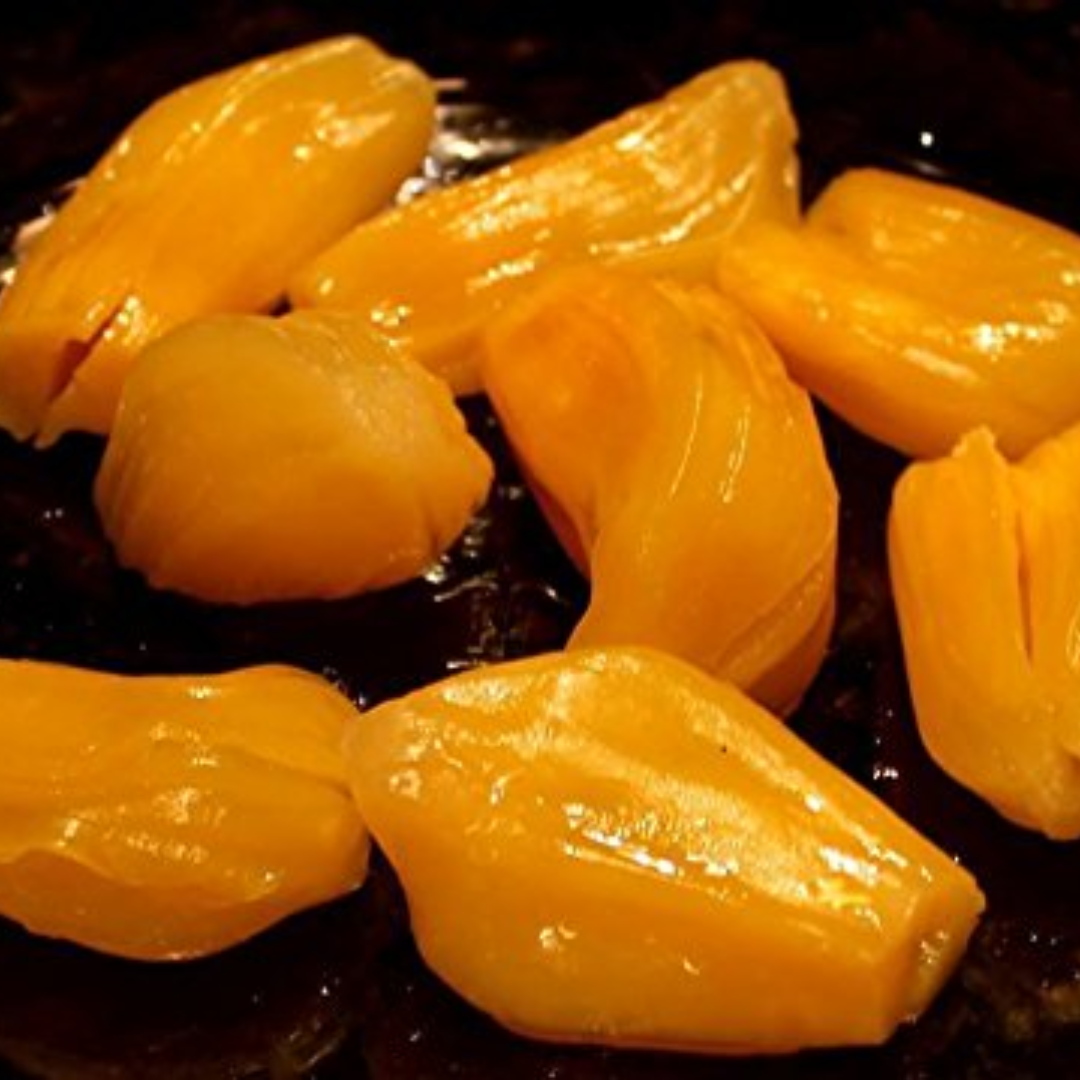 Jackfruit - Honey Jack - Hybrid Fruit Plant
