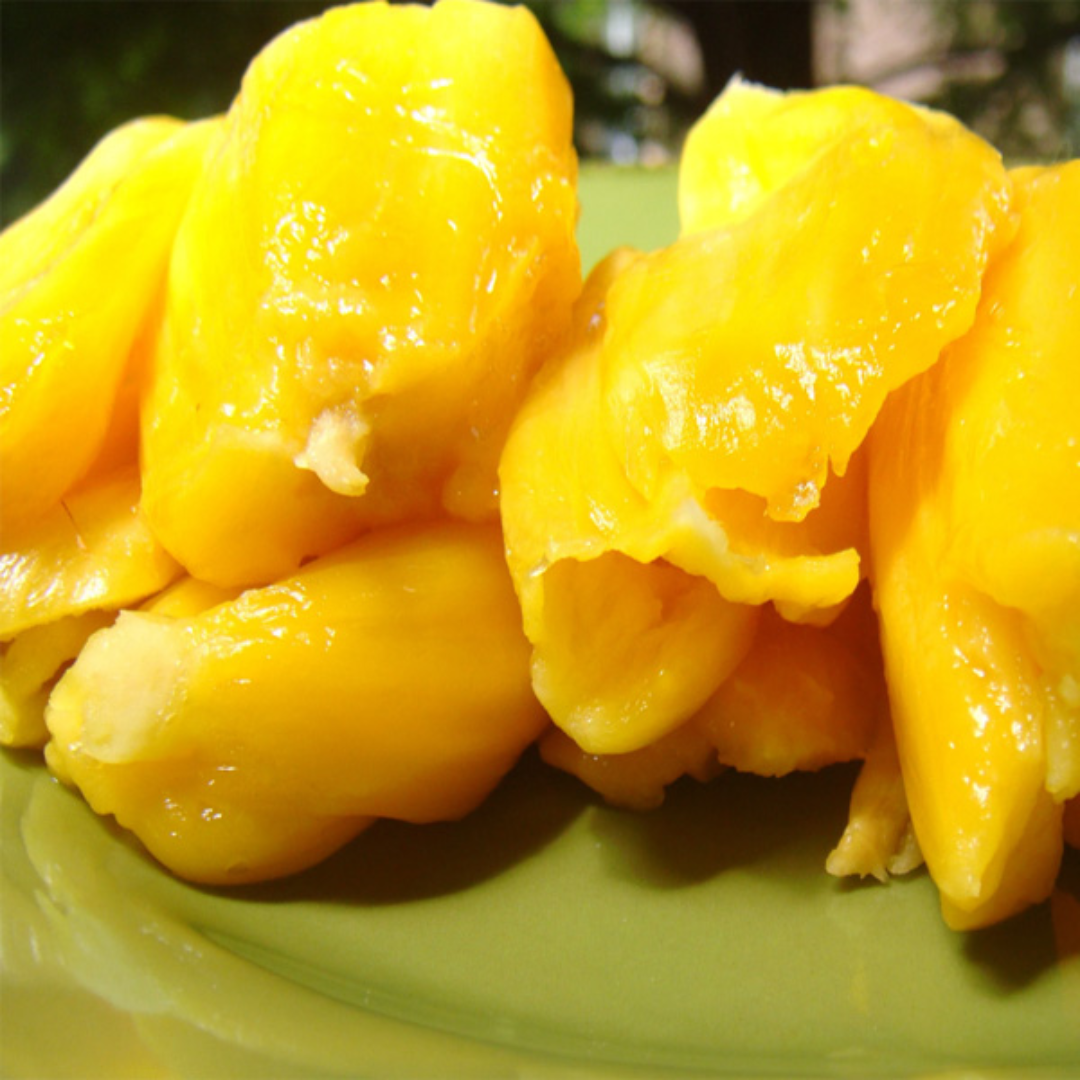 Jackfruit - Honey Jack - Hybrid Fruit Plant