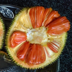 Jackfruit - Siddhu Copper Red - Hybrid Fruit Plant