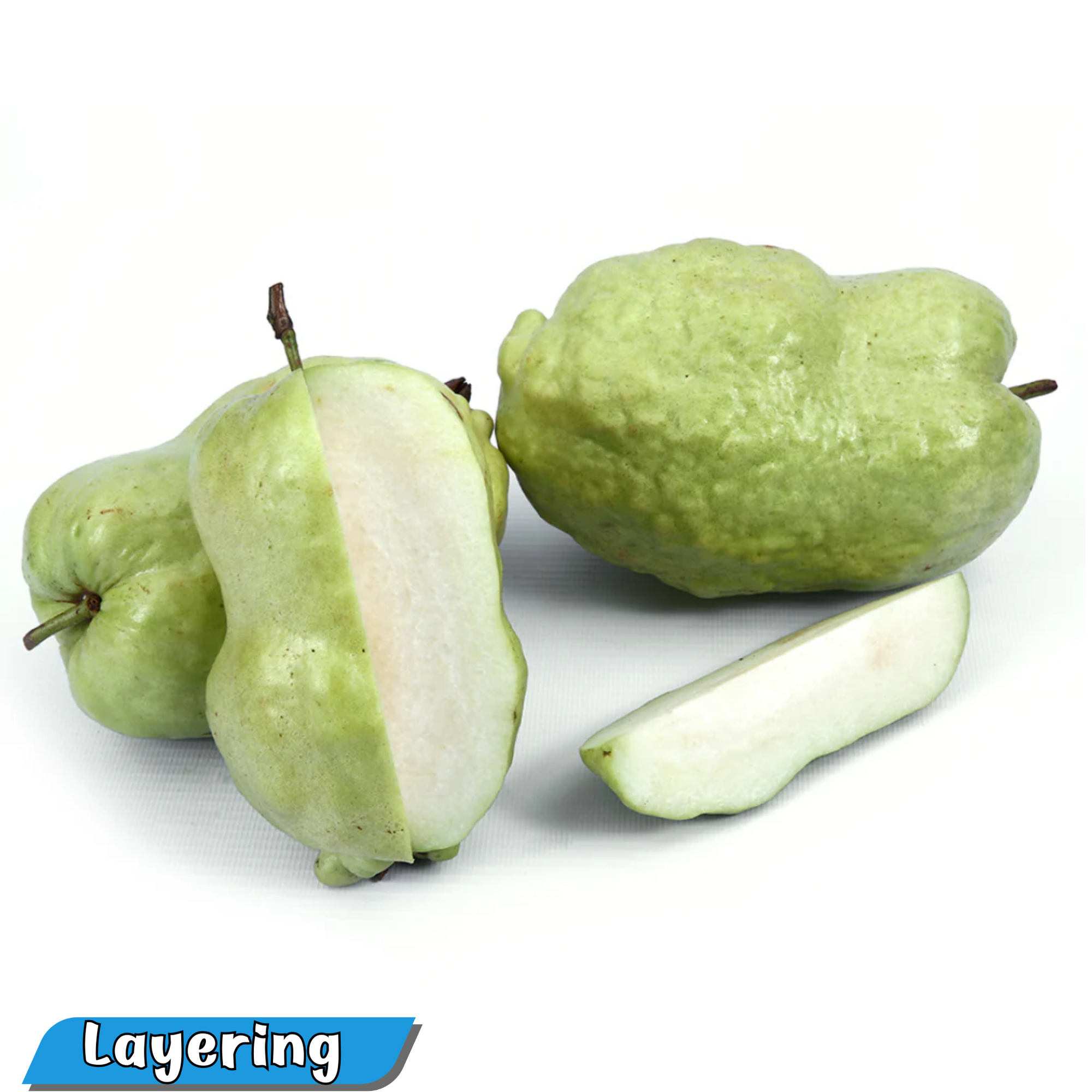 Guava - Indonesian Seedless - Hybrid Fruit Plant