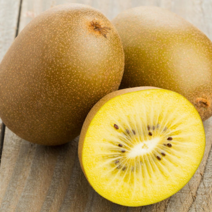 Kiwi 'Sunshine Gold' Seeds - Pack of 50