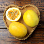 Passionfruit 'Golden Giant' - Live Plant