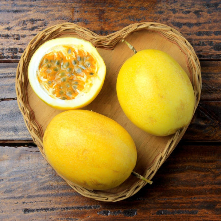 Passionfruit 'Golden Giant' - Live Plant