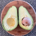 Dwarf Hybrid Avocado – Persea americana | Fruit Plant