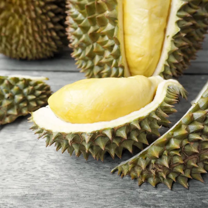 Dwarf Hybrid Durian – Durio zibethinus | Live Plant