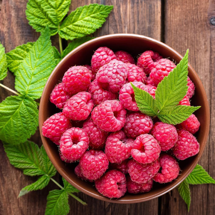 Ruby Raspberry 'Polka' Seeds - Pack of 50