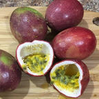 Passionfruit - Panama Red Fruit Plant
