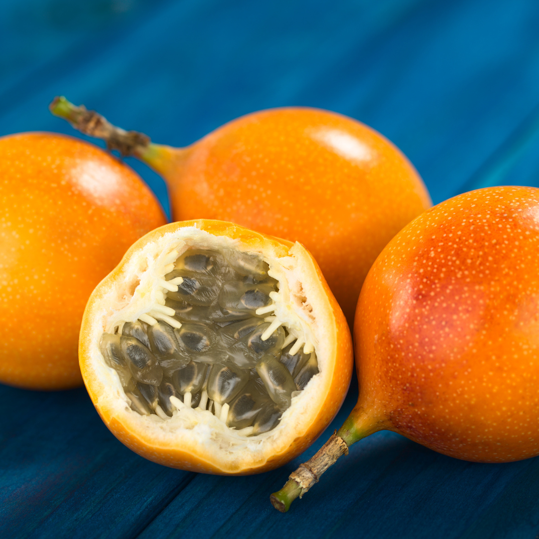 Passionfruit - Yellow Honey Fruit Plant