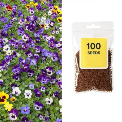 Pansy 'Delta' Mixed Seeds - Pack Of 100