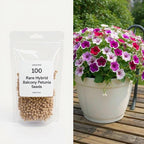 Petunia 'Hybrid' Mix Seeds - Pack Of 100