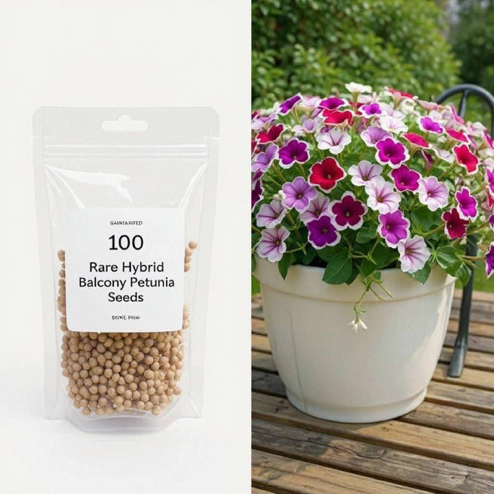 Petunia 'Hybrid' Mix Seeds - Pack Of 100